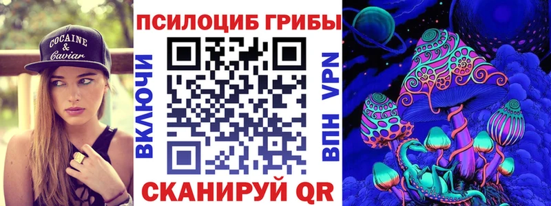 Галлюциногенные грибы Psilocybine cubensis  Купить  Щёлково