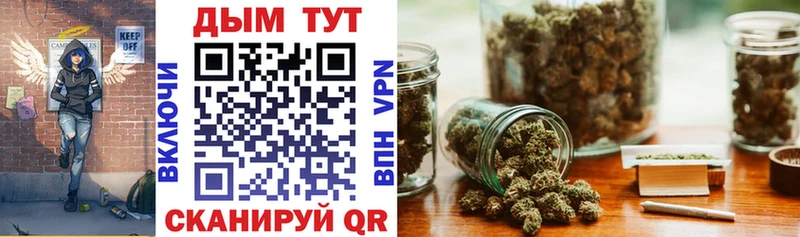 Купить закладки  Щёлково  Шишки марихуана сатива